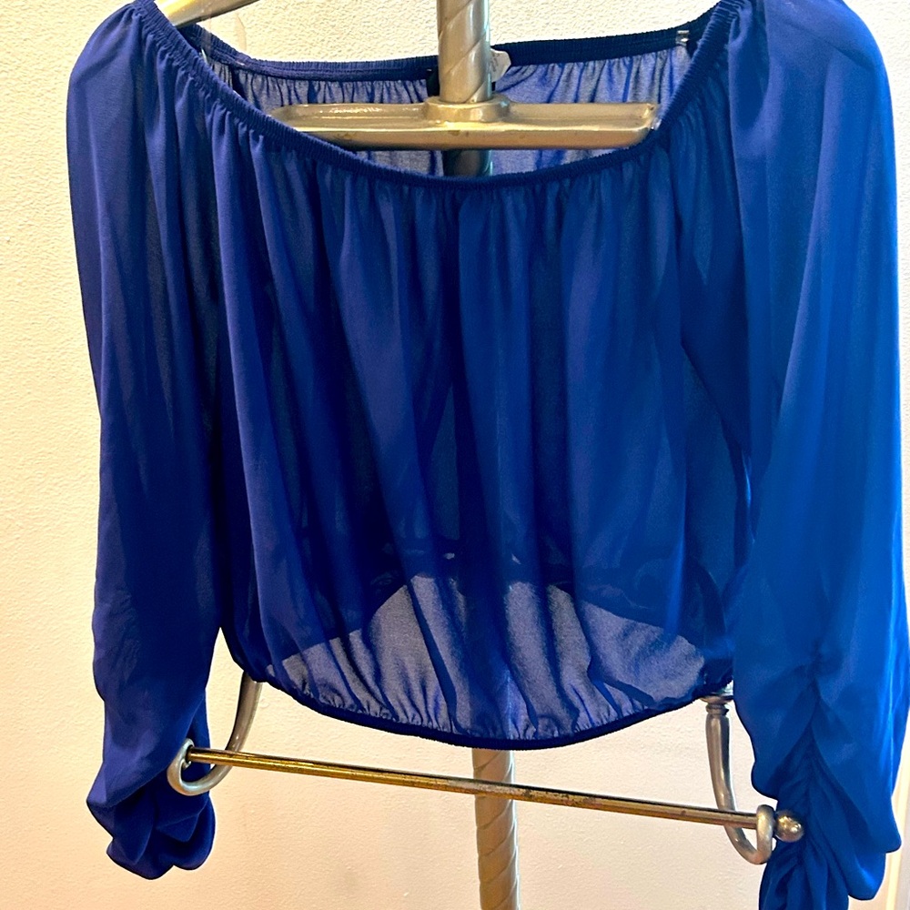 PURPLE ROYAL SHEER CROP TOP